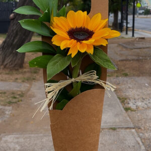 Girasol Rustic