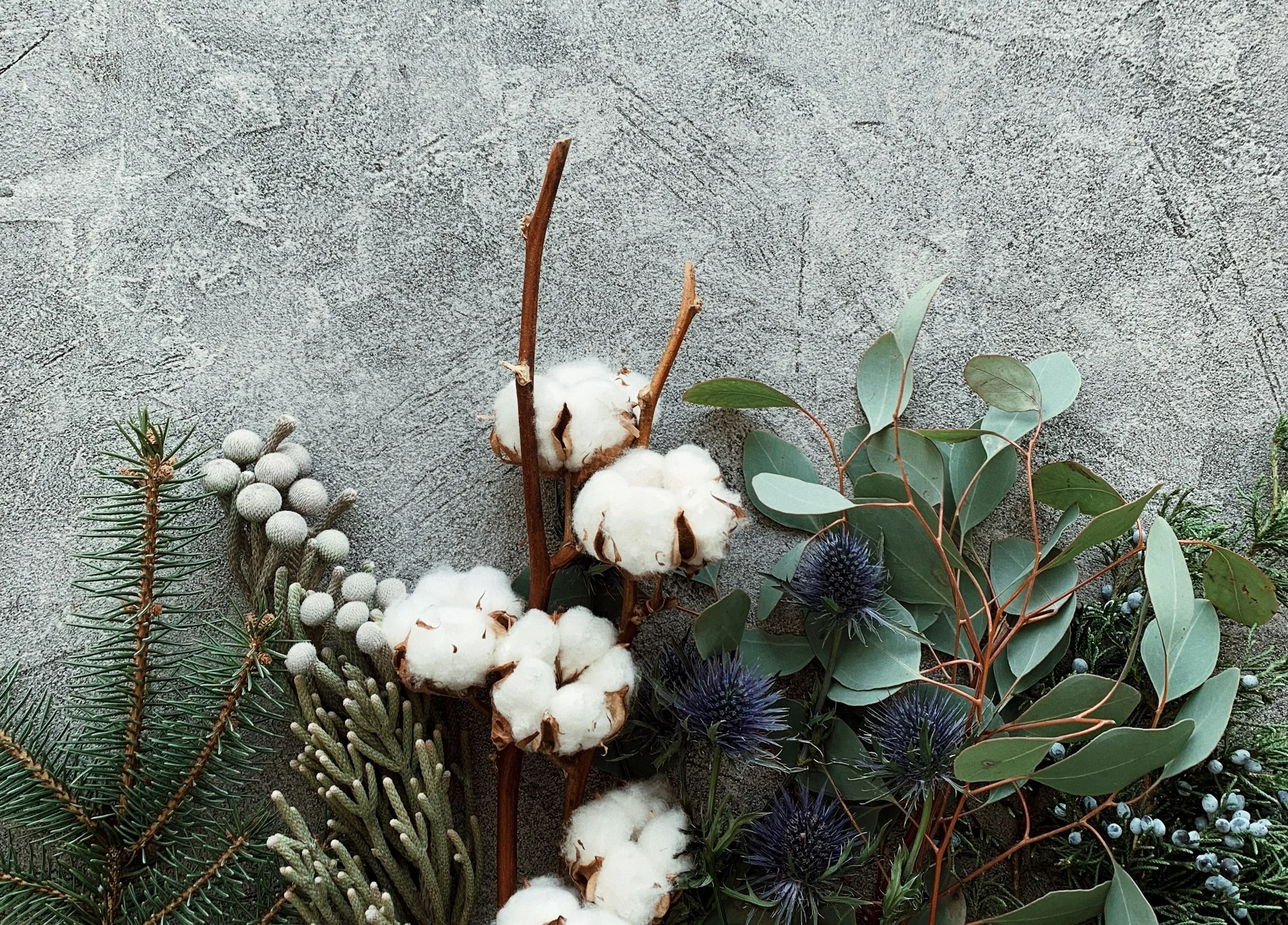 Flores de invierno: las variedades más bonitas para llenar de color los días grises