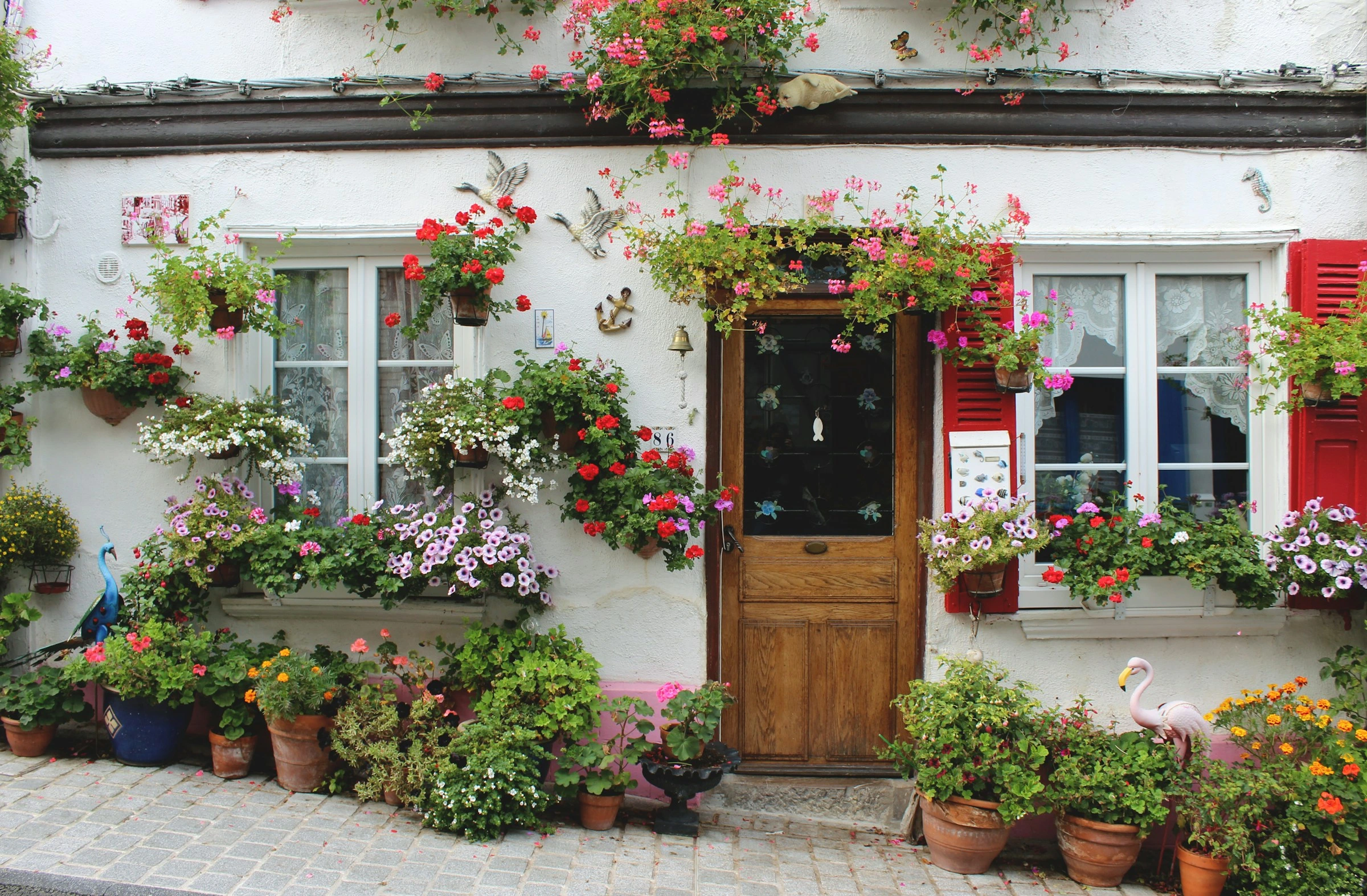 5 Ideas Frescas y Originales para Decorar tu Hogar con Flores Naturales